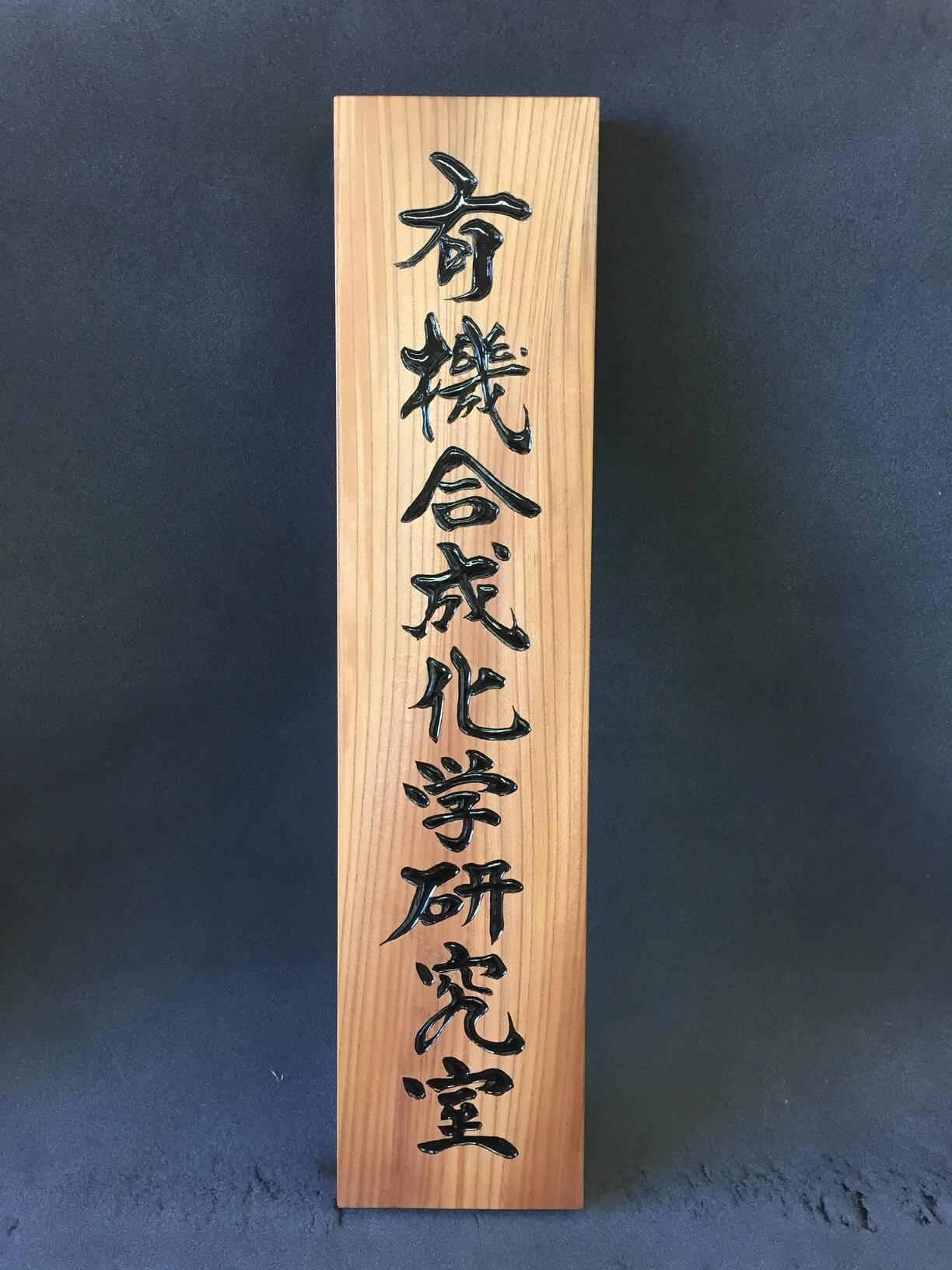 有機化学研究室 様