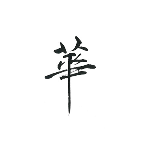美しい　高級感のある　華