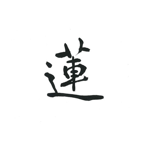 美しい　高級感のある　蓮