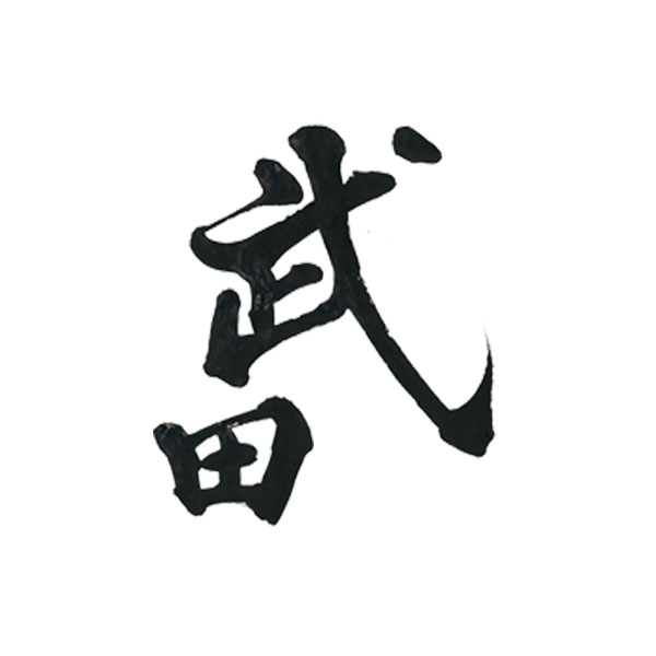 筆文字デザイン 力強い 躍動感 武田